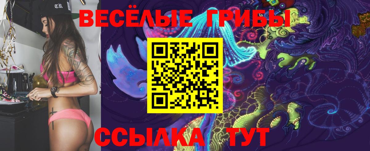 Галлюциногенные грибы ЛСД  Псилоцибиновые грибы ЛСД  Солнечногорск  Вход с VPN 